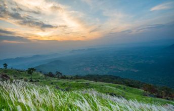 Landscape sunrise on the mountain with field and meadow green grass white flower and beautiful cloud sky