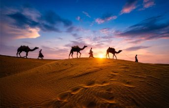 Indian cameleers (camel driver) bedouin with camel silhouettes in sand dunes of Thar desert on sunset. Caravan in Rajasthan travel tourism background safari adventure. Jaisalmer, Rajasthan, India